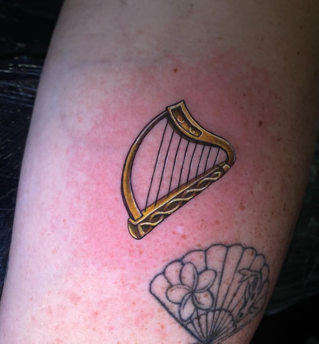 Thanks for the chats and all of the colour today guys! I hope you all have a great time in Ireland!!! 
#paddysday #stpatricksdublin #toucantatttoo #miniharptattoo #dublinireland