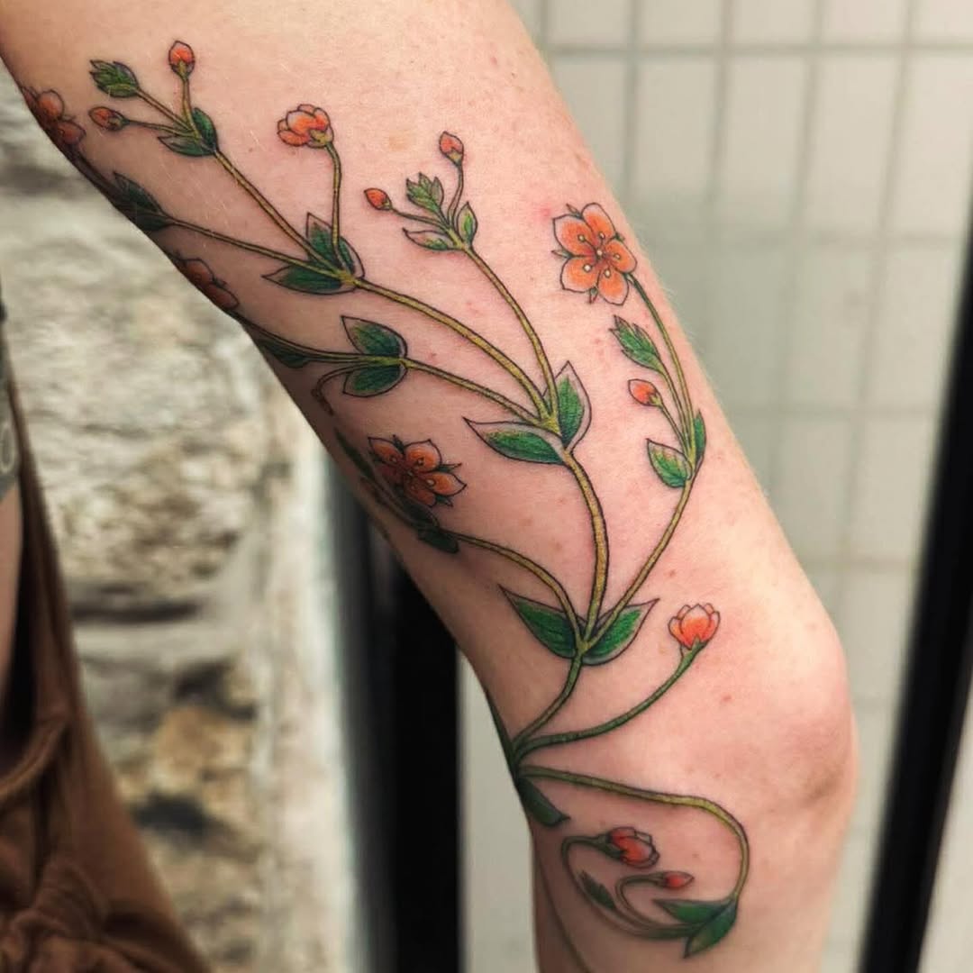 The scarlet pimpernel a beautiful Irish wildflower found blooming May through to October. Often regarded as a symbol of change, anticipation and resilience. Beautiful work by Keven #galwaybaytattoo #galwaybaytattooartists #kevenyuzuki #galwaycity #irishwildflowers