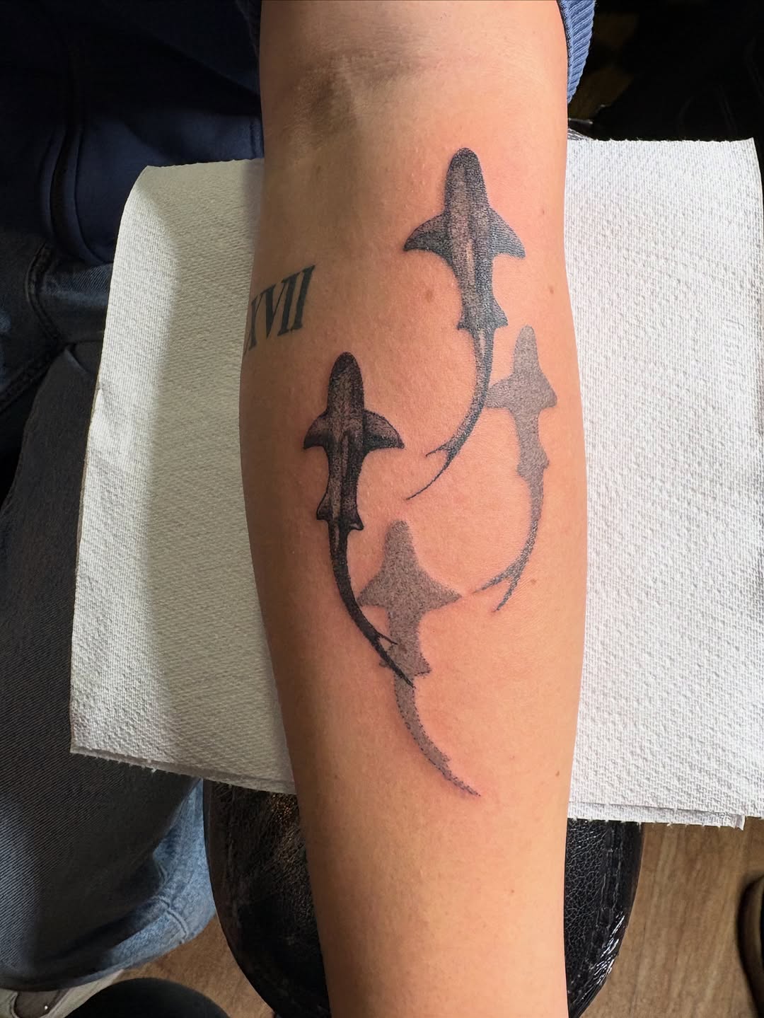 Had the pleasure of tattooing these sharks today @skincitytattoodublin love the flow and placement of these soft dot work fishes. #tattoo #dublintattoo #tattoodublin