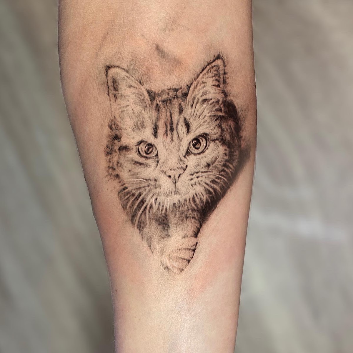 Silver Cat Tattoo tattoo work 6