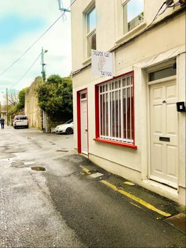 Silver Cat Tattoo in Waterford